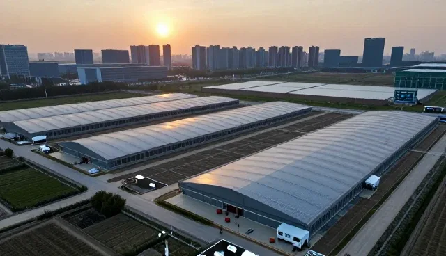 技术咨询在问题解决中的现实价值与趋势